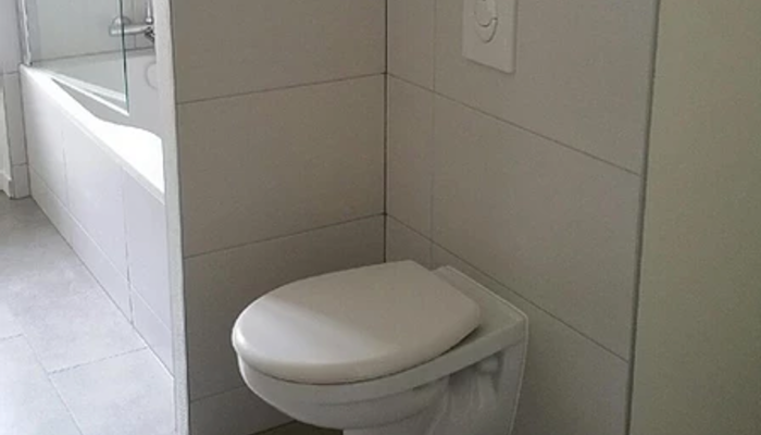 Remplacement chasse d'eau toilettes - Erstein 145 €